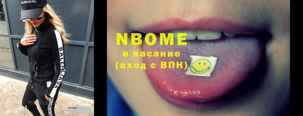 индика Баксан